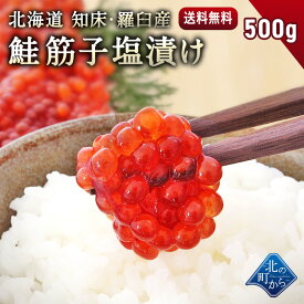 北海道 知床・羅臼産 鮭筋子 500g 塩漬け 熟成されたコクや旨味！ すじこ スジコ 筋子 塩筋子 鮭卵 魚卵 おにぎり ご飯のお供 天然 国産 お取り寄せ ギフト 送料無料