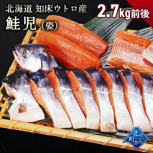 ̍  p 2.2kgO/2.7kgO kC mEgY  PCW  TP VP p ō  hg  O Ⓚ 