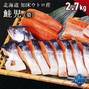 幻の鮭 鮭児 2.7kg 姿 北海道 知床ウトロ産 けいじ ケイジ 高級魚