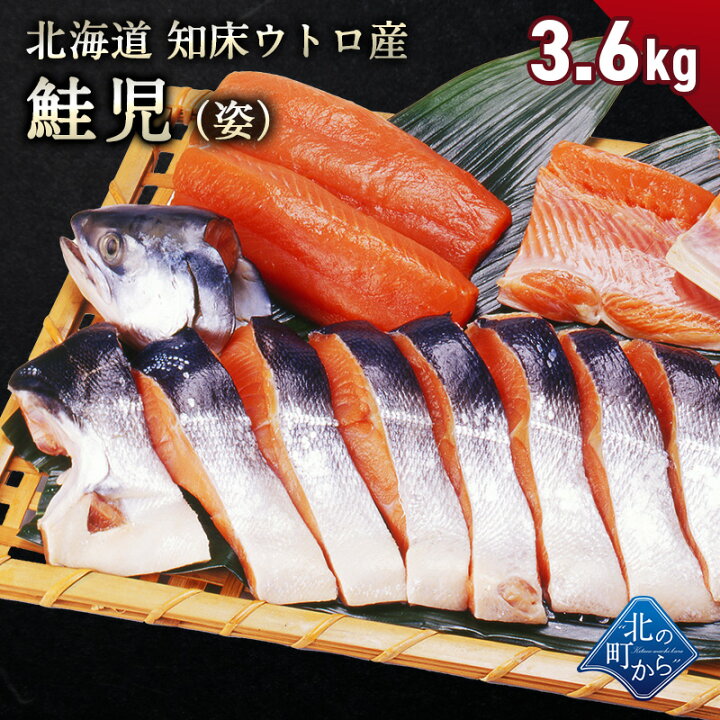 楽天市場 幻の鮭 鮭児 3 6kg 姿 北海道 知床ウトロ産 けいじ ケイジ 高級魚 北の町から