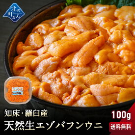 塩水ウニ 希少な知床・羅臼産 100g エゾバフンウニ うに 雲丹 生ウニ 生うに 塩水生うに バフンウニ 北海道産 ミョウバン不使用 塩水パック 無添加 国産 高級 ギフト うに丼 雲丹 お取り寄せ グルメ 送料無料【同梱不可】【2月1日から順次発送予定】