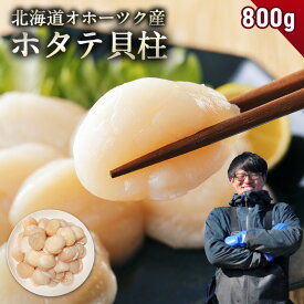 北海道 オホーツク産 ホタテ 800g ホタテ玉冷凍 新鮮なホタテならではの強い甘み、ぷりぷりとした食感をご堪能ください！ 帆立 ほたて