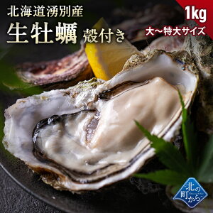 y\񏤕izkC Nʒ y kt 500g/1kg 嗱`  ① Iz[cNCY  JL JL ICX^[ y JLtC O 񂹁yszyg揇