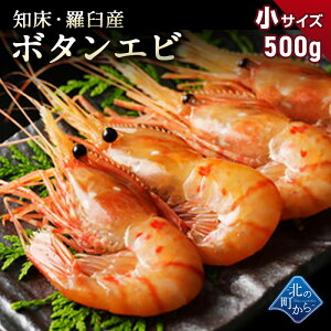 北海道 知床・羅臼産 ボタンエビ 小500g 目安22尾前後 とろける甘みとプリっとした歯ごたえ! 牡丹海老 ぼたんえび  ぼたん海老 ボタン海老 刺身 冷凍 海鮮 高級海鮮 海鮮丼 贈り物 ギフト