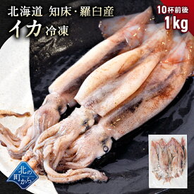 北海道 知床・羅臼産 スルメイカ 1kg(10杯前後) するめいか まめいか 豆いか いか イカ 烏賊 生冷 冷凍 お取り寄せ 国産 送料無料