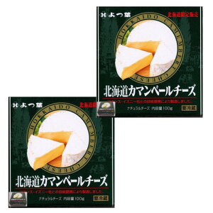 t̖kCJ}x[`[Y 100g×2 łkC yY i v[g Mtg 