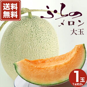 �y���������z�ӂ�̃�����XL�i2kg)1�ʓ� �k�C���x�ǖ�Y�����w��s�E������s�@�i8�����{�o�׏I���j�i�\��̔�����6��30���܂Łj�k�C�� �����n �ԓ� �ʕ� �t���[�c �M�t�g ���蕨 �v���[