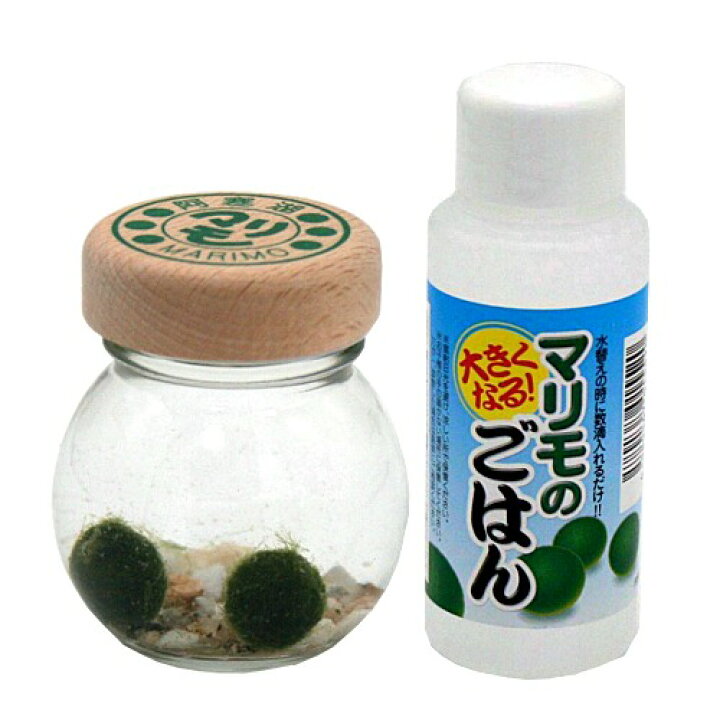 楽天市場】＜送料込＞北海道限定養殖まりも ウット2号 マリモ用ごはん 