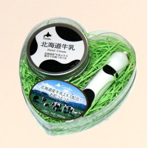 kC nhN[bvN[Zbgn[gP[XkC yY XLPA ێ   Mtg 񂹁iTSBj