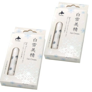 ʑ bvN[ 4g ×2łkC yY XLPA ێ  Mtg 