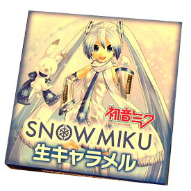 北海道限定SNOW MIKU 生キャラメル『常温タイプ』9粒入りdk-2 dk-3