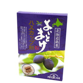 天狗堂宝船よいとまけ ハスカップ餅100g（個包装込み）北海道 お土産 ご当地 もち おやつ ギフトプレゼント お取り寄せ