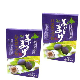 ＜特別送料込＞天狗堂宝船よいとまけ ハスカップ餅100g×2箱（個包装込み）同梱可です北海道 お土産 ご当地 もち おやつ ギフトプレゼント お取り寄せ