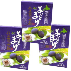 ＜特別送料込＞天狗堂宝船よいとまけ ハスカップ餅100g×3箱（個包装込み）同梱可です北海道 お土産 ご当地 もち おやつ ギフトプレゼント お取り寄せ