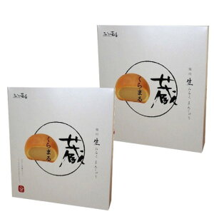 the sunli񂭂낤ǁj̑Z 10×2łkC oَqi َq \ ܂񂶂イ XC[cyY Mtg 