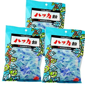 【ゆうパケット便】＜送料込＞ 永田製飴 北見ハッカ飴 100g×3袋薄荷 ミント キャンディ