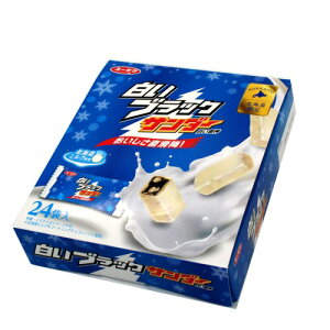 Ly ubNT_[ 24ܓ kC yY  zCg`R Mtg v[g o^C zCgf[ 