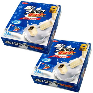 Ly ubNT_[ 24ܓ×2 ł kC yY  zCg`R Mtg v[g o^C zCgf[ 