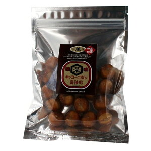 kC LbR[jz ݖkC yY 傤  Mtg v[g 