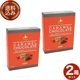＜送料込＞ホリ(HORI)の北海道キャラメルチョコレート【20粒入】×2箱 同梱可です北海道 ご当地 お土産 チョコ ギフト プレゼント お取り寄せ クリスマス バレンタイン ホワイトデー 個包装（TSB）