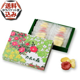 【ゆうパケットで配送】(送料込)六花の森 チョコレート 北海道 お土産 お返し お取り寄せ 贈り物 プチギフト かわいい ホワイトデー バレンタイン 母の日 父の日ギフト 個包装 母の日 父の日（TSB）