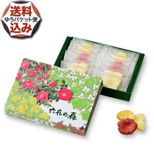 y䂤pPbgŔzzZԂ̐X `R[g kC yY Ԃ  蕨 v`Mtg 킢 zCgf[ o^C ̓ ̓Mtg  ̓ 