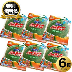＜特別送料込＞森永 北海道限定ハイチュウ夕張メロン味 5本入り×6個 同梱可です北海道 お土産 地域限定 メロン果汁 キャンディギフト プレゼント 手土産 お菓子 おやつ お取り寄せ