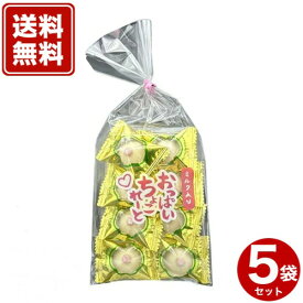 ＜送料無料＞訳あり おっぱいチョコレート40g ×5袋セット冷蔵発送 同梱可です北海道 お土産 チョコレート 景品 イベント ジョーク グッズ 義理チョコ バレンタイン ホワイトデー