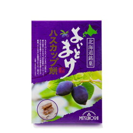 天狗堂宝船よいとまけ ハスカップ餅100g（個包装込み）北海道 お土産 ご当地 もち おやつ ギフトプレゼント お取り寄せ
