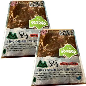 c{Y t  WMXJy500gz×2ܓłkC  Mtg r o[xL[ Ă  BBQ t gv т̂