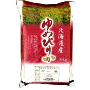 V 7NxY kCY  ߂҂肩10kg kC  ͂  