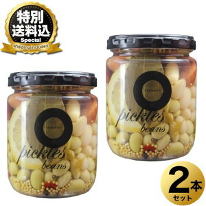 �����ʑ�������NORTH FARM STOCK �k�C�� ���s�N���X 220g×2�{�����ł� �k�C�� ���y�Y ��� �T���_ �v���[���g �M�t�g �����񂹁iTSB�j