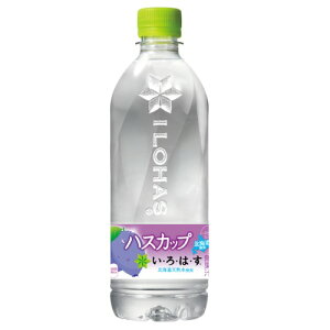  kC EÉE ͂ 540ml×24{1P[X wł܂ybg{g nXJbv ~lEH[^[ RJER[  