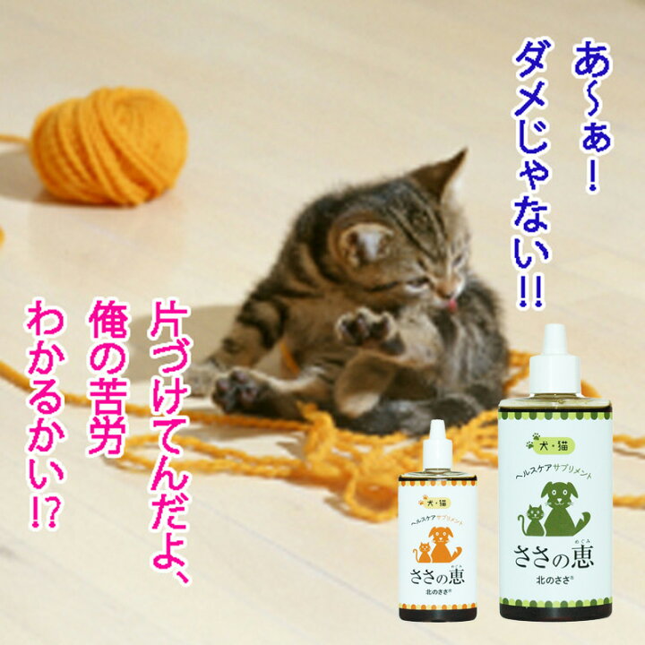 楽天市場 ペット サプリメント ささの恵 30g 1本 無添加 口臭 消臭 犬サプリメント 猫サプリメント 歯茎の腫れ ビタミン 口腔ケア デンタルケア ポリフェノール 歯みがき 腸内環境 便秘 耳 目 肌 毛並み 抗菌 キシロオリゴ糖 乳酸菌 ビフィズス菌 酪酸菌 熊笹エキス