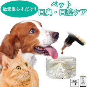 10/24 20時〜お買い物マラソン クーポン使用で15%off+ポイント最大5倍!ペット 健康食品【ささの恵】30g×1本 無添加 口臭 消臭 犬健康食品 猫健康食品 歯茎の腫れ ビタミン 口腔ケア デンタル