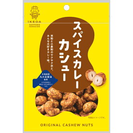 池田食品 オリジナルカシューナッツ スパイスカレーカシュー 35g×6袋 カレー味　おつまみ お菓子 創作豆 メール便 ポイント消化 お取り寄せ グルメ お菓子 プレゼント カレー カシューナッツ ナッツ 送料無料