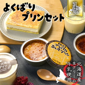 【北海道よくばりプリンセット】江戸屋 焼プリン アイス おやつ 洋菓子 誕生日 洋菓子 お土産 贈り物 スイーツ ギフト プレゼント 贈り物 喜ばれる 北海道 道産牛乳 記念日 差し入れ ご褒美 プリン ぷりん あいす アイスプリン プリンケーキ