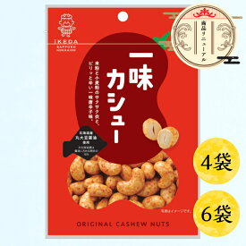 【池田食品 オリジナルカシューナッツ｜一味唐辛子味 40g×4袋／6袋】北海道 焼きカシュー カシュー ナッツ カシューナッツ おつまみ お菓子 札幌 おやつ お酒のお供 豆菓子 メール便 買い回り お試し ポスト投函 非常食 エネルギー つまみ マラソン 晩酌 飲み会 宅飲み