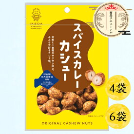 【池田食品 オリジナルカシューナッツ｜スパイスカレー味 35g×4袋／6袋】北海道 焼きカシュー カシュー ナッツ カシューナッツ おつまみ お菓子 創作豆 札幌 おやつ お酒のお供 豆菓子 メール便 買い回り お試し ポスト投函 つまみ マラソン