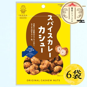 【池田食品 オリジナルカシューナッツ|スパイスカレー味 35g×4袋/6袋】北海道 焼きカシュー カシュー ナッツ カシューナッツ おつまみ お菓子 創作豆 札幌 おやつ お酒のお供 豆菓子 メー