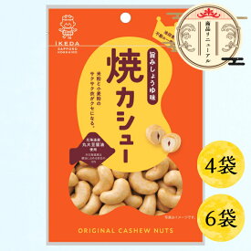 【池田食品 オリジナルカシューナッツ｜焼カシュー 旨みしょうゆ味 40g×4袋／6袋】北海道 焼きカシュー カシュー ナッツ カシューナッツ おつまみ お菓子 札幌 おやつ お酒のお供 豆菓子 メール便 買い回り お試し ポスト投函 非常食 エネルギー つまみ 晩酌 宅飲み