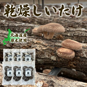 yVC^PlZbg/VC^P4/VC^PXCXEۊe3܁zkC Y V  VC^P ő i  o^[\e[  Y X` o` ݂ W[V[