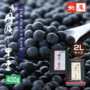 y/ipzOgԂǂ400g 聃ߘa5NYI ϔ VOg Mtg i  Ε邨   Y 嗱 ܂