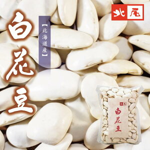yzkCY唒ԓ500g@Iʁ