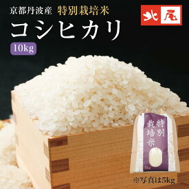 京都丹波産特別栽培米コシヒカリ10kg白米 精米 お米 こしひかり 京都 丹波 京丹波