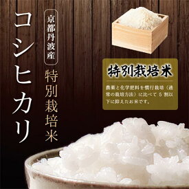 【新米 ご予約受付中】京都丹波産特別栽培米コシヒカリ10kg9月中旬～下旬頃　新米入荷次第 発送予定