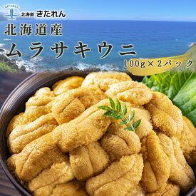 楽天市場 北海道産 ムラサキウニ 100gの通販