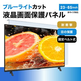 【時間限定10%OFFCP付き+5P】ブルーライトカット 液晶テレビ保護パネル 2324～65インチ 2324～65型 固定ベルト付液晶テレビ 【2mm/3mm厚】【カット率55.3％！】 保護パネル 保護フィルム 液晶保護パネル テレビ 保護 テレビカバー テレビガード マモリス
