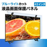 液晶テレビ保護パネル 43インチ ブルーライトカット 液晶画面保護 アクリル 台湾製 耐衝撃 高硬度 固定ベ…