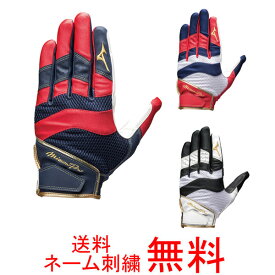 【ネーム刺繍無料】●ミズノプロ(mizuno pro)　守備手袋(捕手用)　1EJED160　左手用のみ【送料無料/野球用品/キャッチャー用】